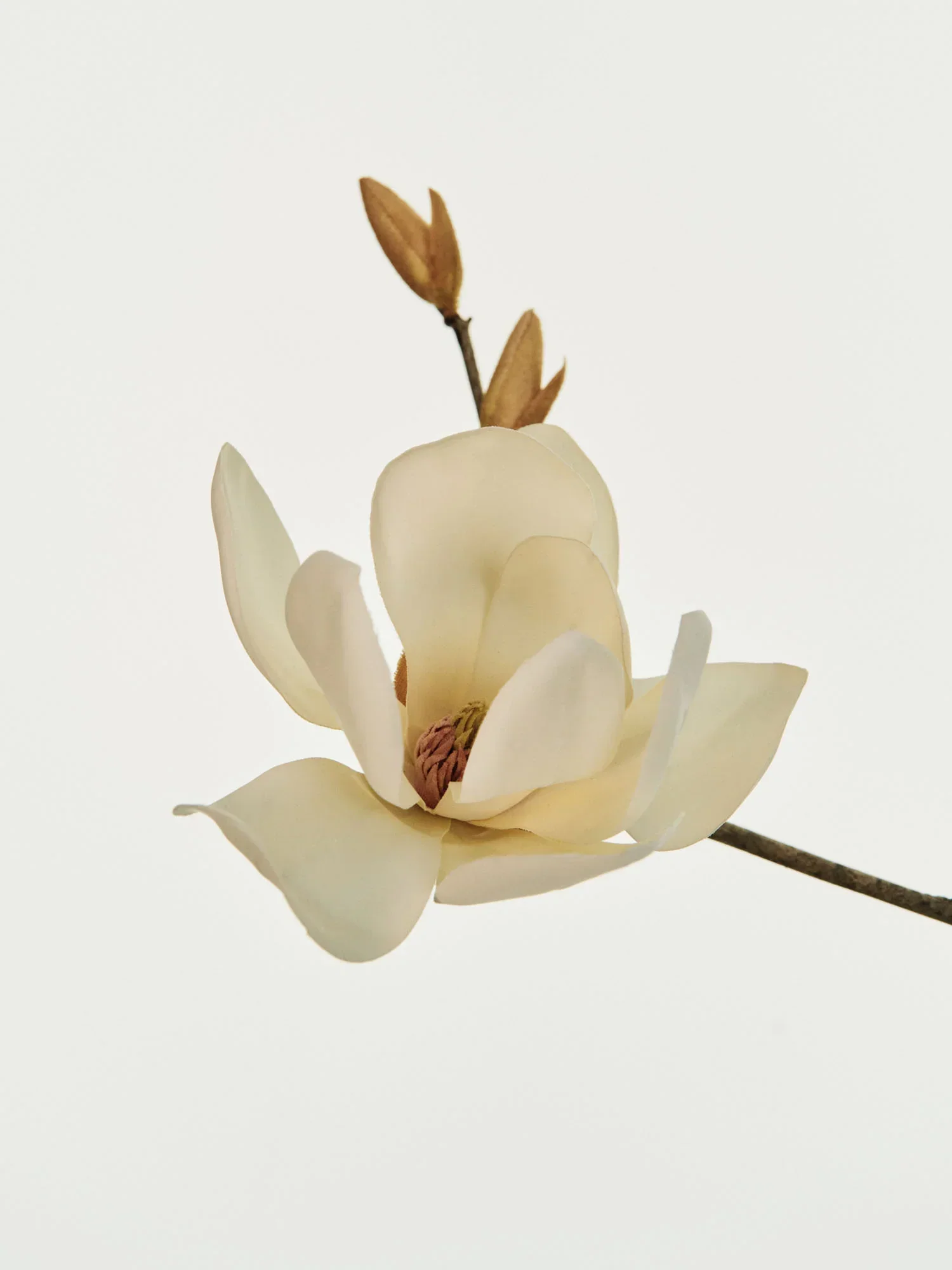 Mellowness Oil in Body Cream Magnolia & Sandalwood 200g - Image 5