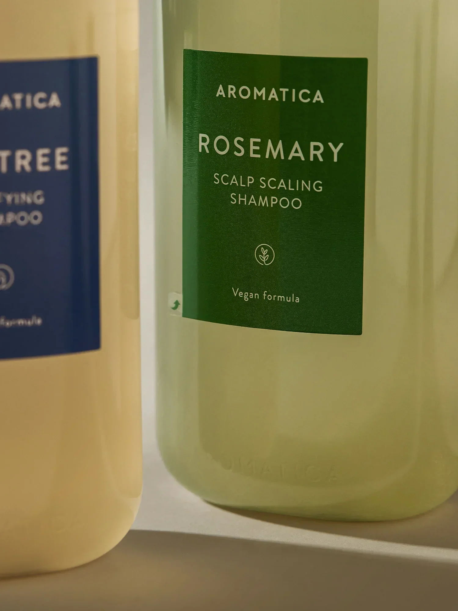 Rosemary Scalp Scaling Shampoo 400ml & Refill 500ml x2 - Image 4