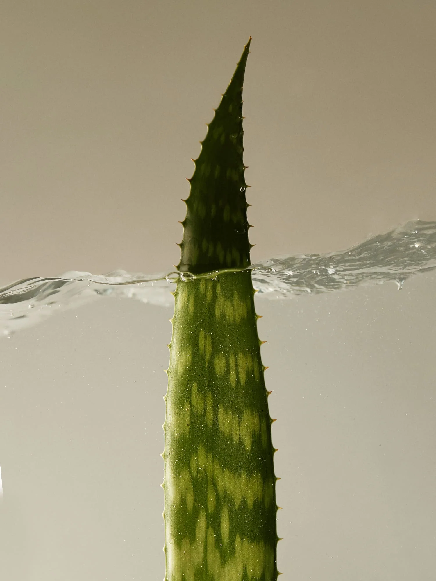 Soothing Aloe Vera Gel 180ml - Image 3
